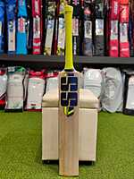 CRICKET BAT SS WAVES SH