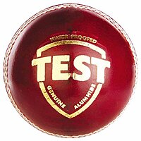 CRICKET BALL SG 