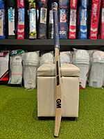 CRICKET BAT GM BRAVA 555