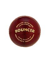 CRICKET BALL SG