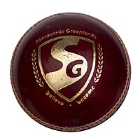 CRICKET BALL SG 