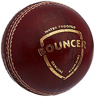 CRICKET BALL SG