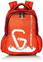 CRICKET KITBAG SG