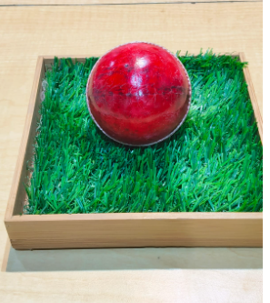 CRICKET BALL RICOCHET 