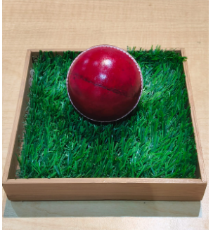 CRICKET BALL RICOCHET 