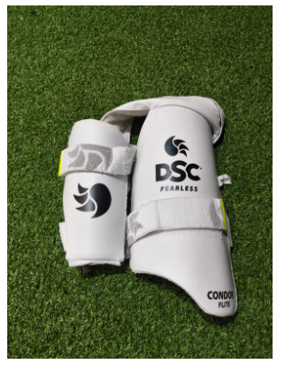 CRICKET THIGHPAD DSC
