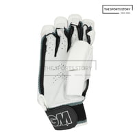 Cricket Batting Gloves -GM 808 LE