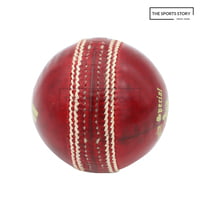 Cricket Balls-SF County Special Red