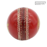 Cricket Balls-SWINGER (ALUM TANNED)