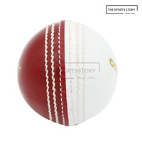 Cricket Balls-OT BALL WITH SEAM