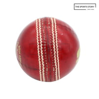 Cricket Balls-SF Match Special Red