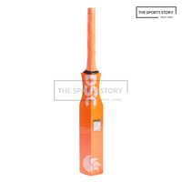 CATCHING BAT CATCHING BAT