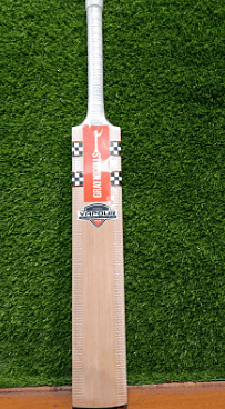 CRICKET BAT GN VAPOUR XCELL