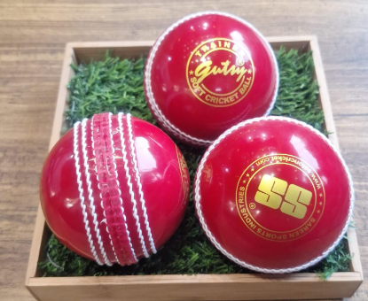CRICKET BALL SS INCREDIBLE BALL