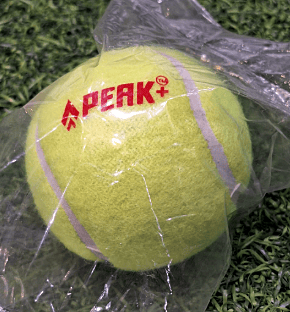 CRICKET BALL SPEARHEAD