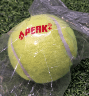 CRICKET BALL SPEARHEAD