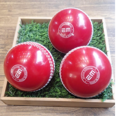 CRICKET ACCESSORIES-EM POLY TUFF (120GMS)
