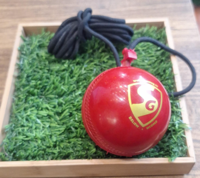 CRICKET BALL OMTEX