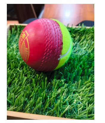 CRICKET BALL EM SWING BALL