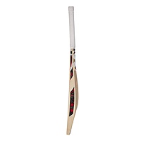 TENNIS BALL BAT SG