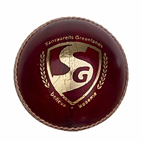 CRICKET BALL SG