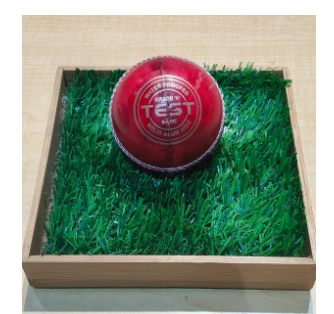 CRICKET BALL RICO