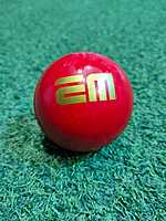 CRICKET BALL EM WOBBLE 