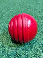 CRICKET BALL EM WOBBLE 