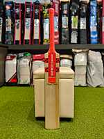 CRICKET BAT GN PLAYER PROFILE