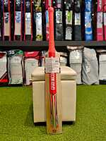 CRICKET BAT GN PLAYER PROFILE