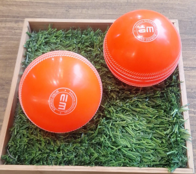 CRICKET BALL EM WIND SEAMER 120 GMS