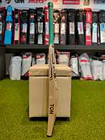 CRICKET BAT SS MASTER 1000