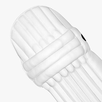 CRICKET BATTING PAD DSC