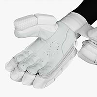 CRICKET BATTING GLOVES DSC