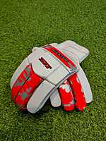 CRICKET BATTING GLOVES MRF MASTER