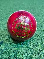 CRICKET BALL RICOCHET