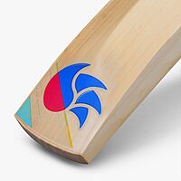 CRICKET BAT DSC INTENSE RAGE CRICKET BAT DSC INTENSE RAGE