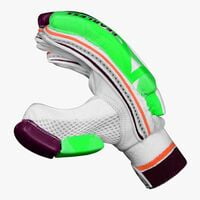 Cricket Batting Gloves DSC INTENSE ATTITUDE