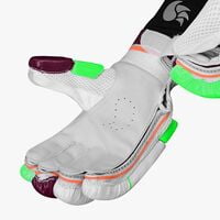 Cricket Batting Gloves DSC INTENSE ATTITUDE