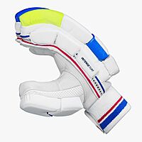 CRICKET BATTING GLOVES DSC