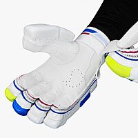 CRICKET BATTING GLOVES DSC