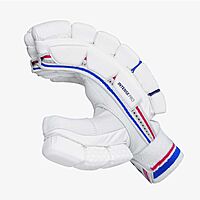 CRICKET BATTING GLOVES DSC