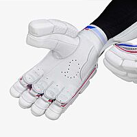 CRICKET BATTING GLOVES DSC