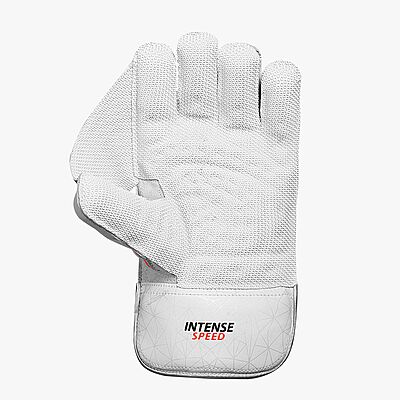 CRICKET WK GLOVES DSC INTENSE SPEED