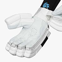 Cricket Batting Gloves DSC KRUNCH 5.0