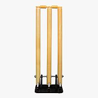 CRICKET ACCESSORIES DSC SPRING STUMP SET OF 3 WITH IRON BASE 